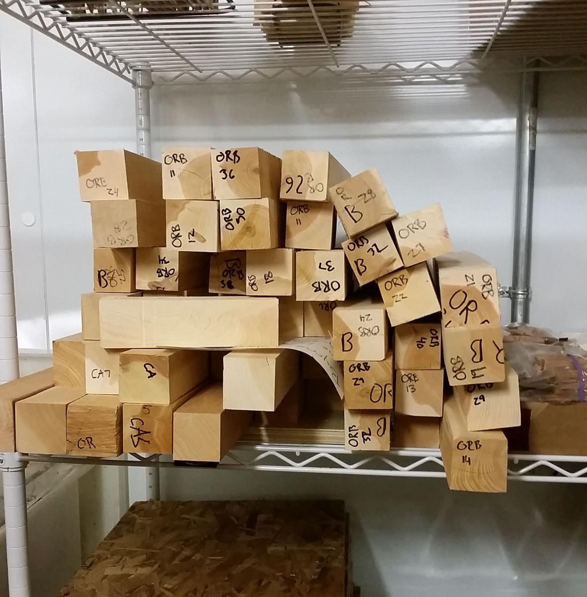 Western Juniper Lumber Products Oregon Wood Innovation Center